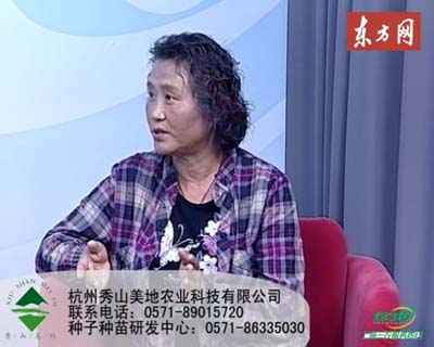 陈龙英老师做客东方网“小阳台大菜园”系列视频教学节目