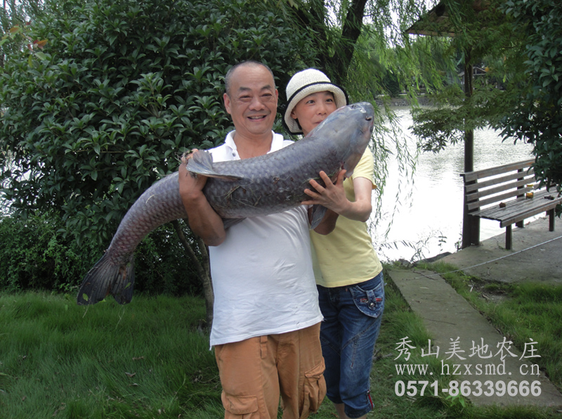 图1：杭州秀山美地农庄钓鱼之乐