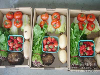 秀山美地农庄蔬菜礼盒