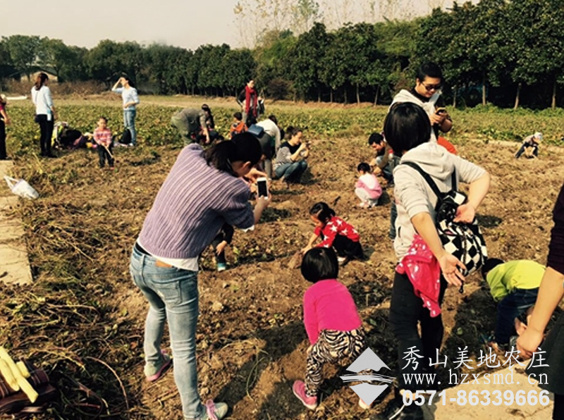 杭州下城区京都实验幼托园儿童馆在秀山美地挖番薯