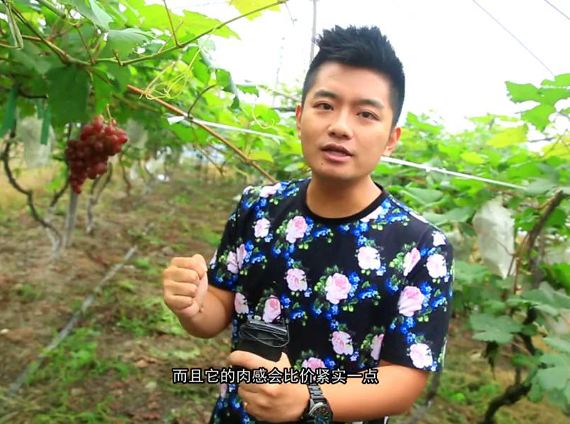 图6：杭州电视台生活频道&钱江晚报《寻味》栏目组来到秀山美地农庄