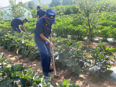 消防救援大队官兵在农庄开展助农服务主题党日活动 体验农事活动